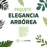 Paquete Elegancia Arbórea